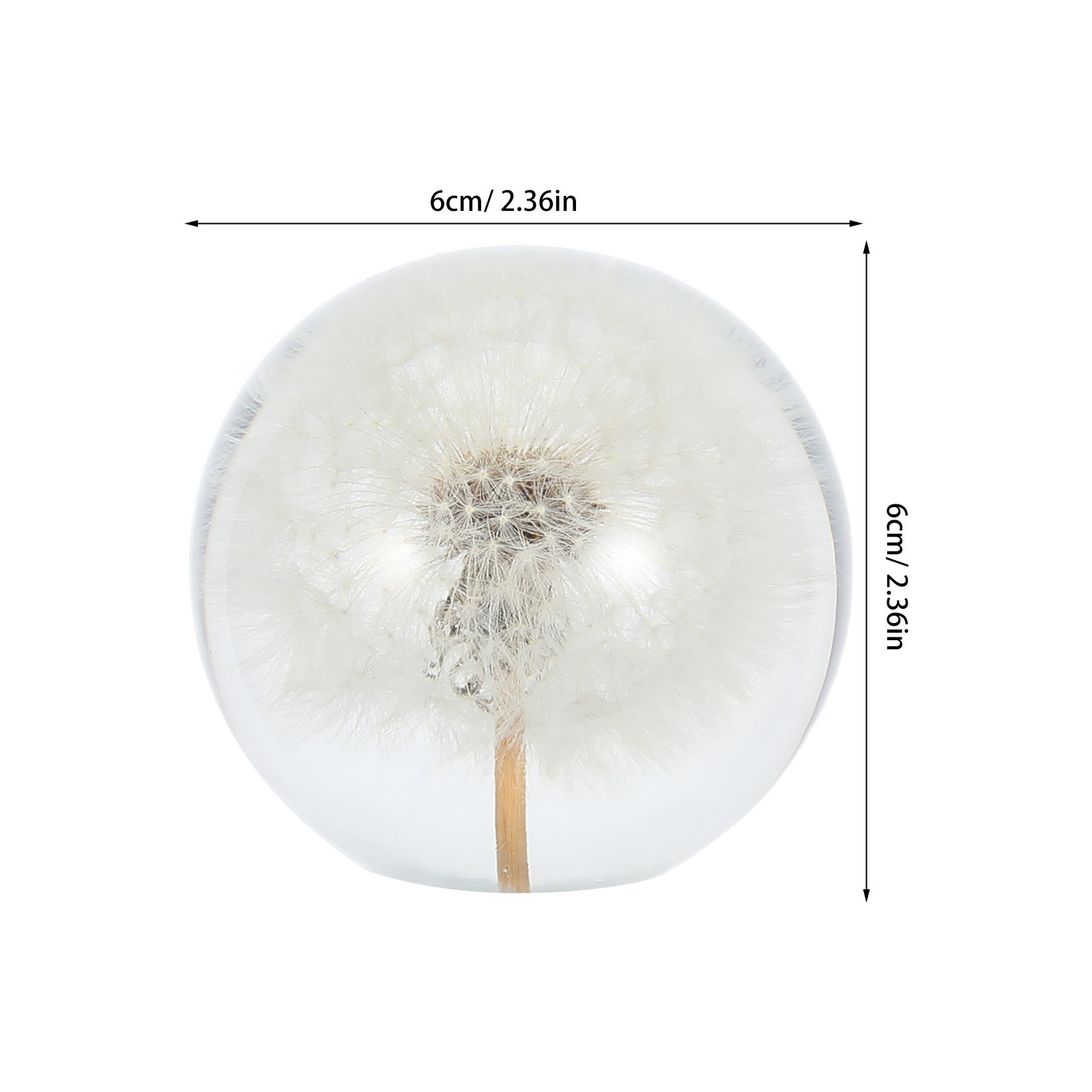Dandelion Crystal Ball Glass S - Paper Weight Crystal บทวิจารณ์และราคา