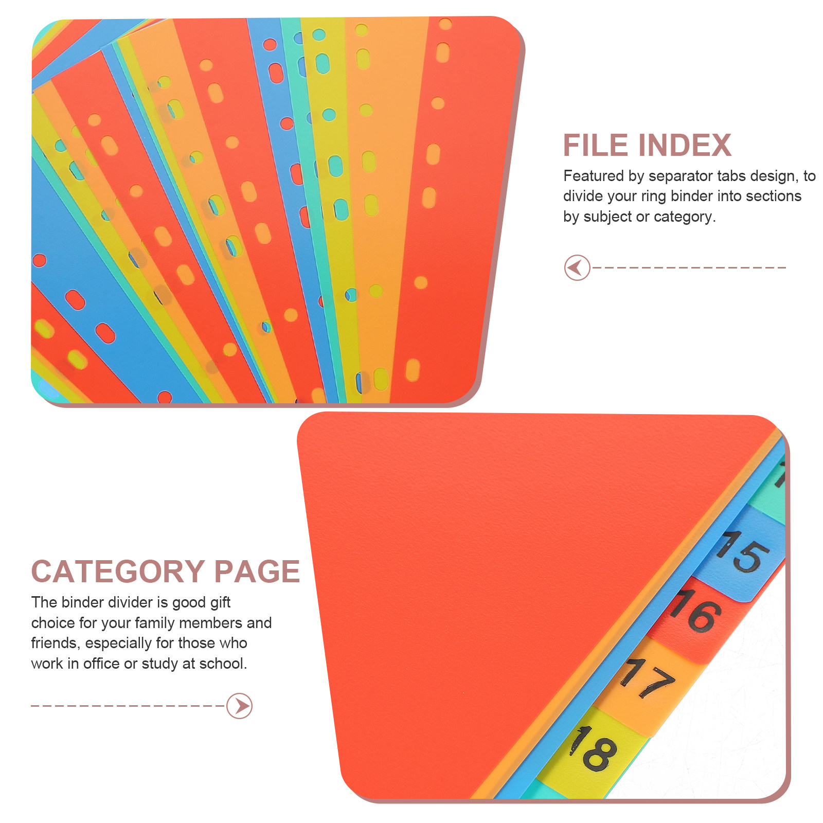 20 Sheets A4 Heavy Duty Binder - Tab Divider A4 บทวิจารณ์และราคา