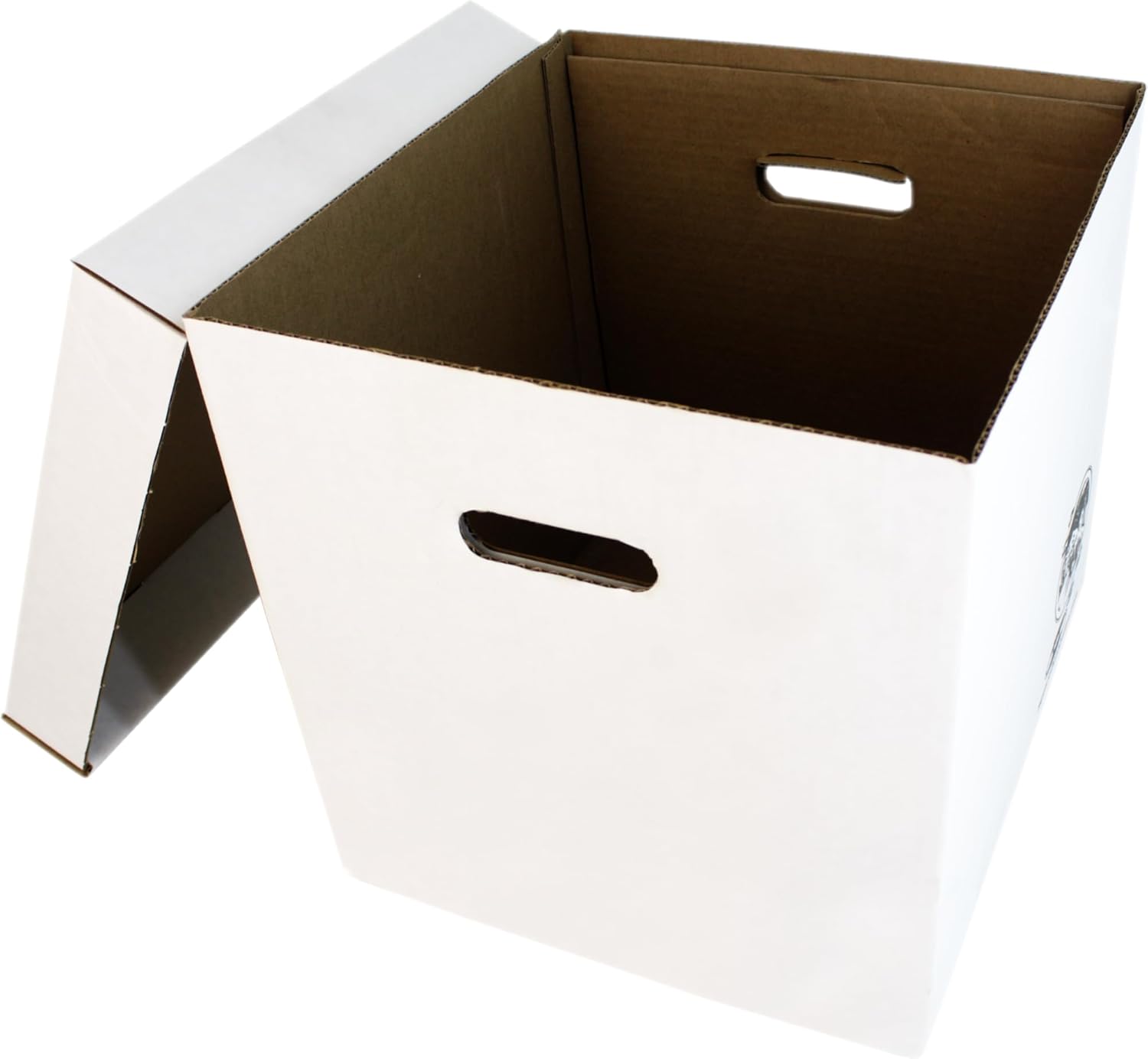 Set of 5 Heavy-Duty 12-Inch Vi - Archive Box Set บทวิจารณ์และราคา