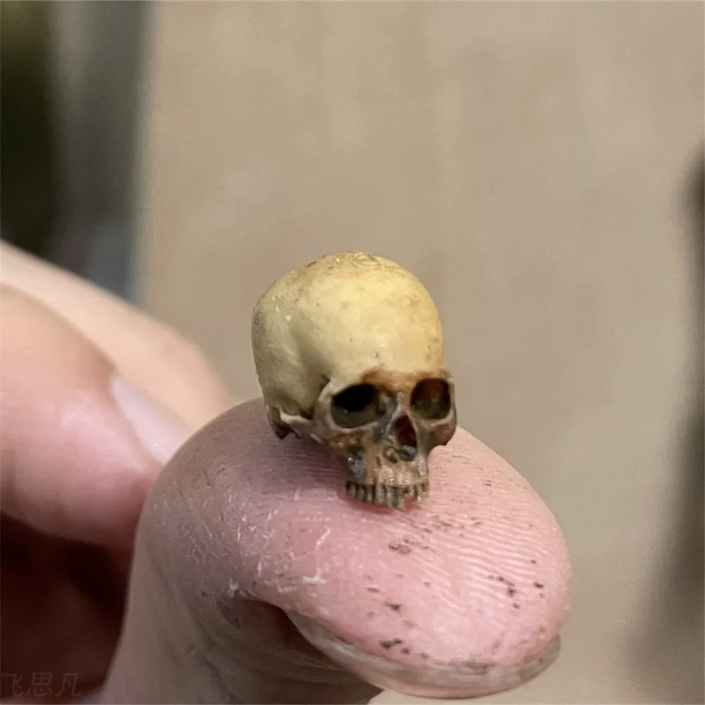 Mini Skull High Quality Miniat - Letter Opener Brass บทวิจารณ์และราคา