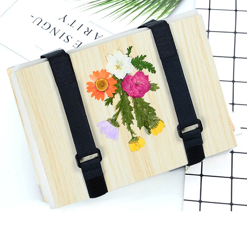 1 Set Plant Specimen Tool Kit  - Ink Blotter Paper บทวิจารณ์และราคา