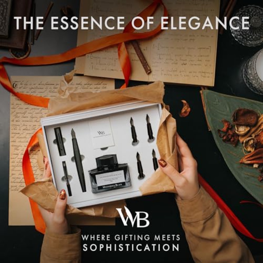 Fountain Pen Gift Set, Include - Fountain Pen Bottled Ink บทวิจารณ์และราคา